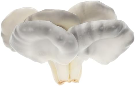 PRETYZOOM Realistic Oyster Mushroom Decor Model