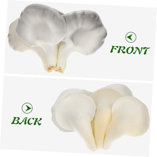 PRETYZOOM Realistic Oyster Mushroom Decor Model
