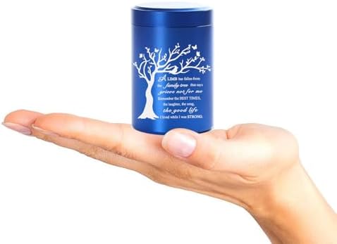 RIPFEVURN Mini Cremation Urn 275 Inch Blue Butterfly Design