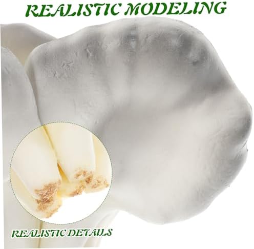 PRETYZOOM Realistic Oyster Mushroom Decor Model