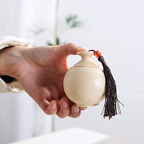 SCOOVY Classic Decorative Urn for Human Ashes