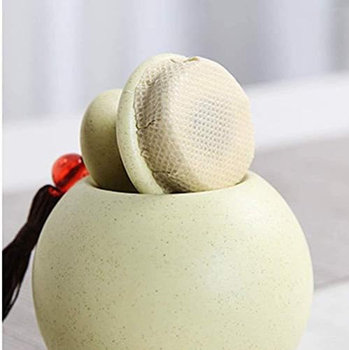 SCOOVY Classic Decorative Urn for Human Ashes