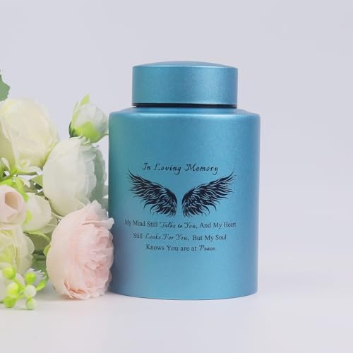 6 Inches Small Urn for Human Ashes Keepsake Box with Angel Wing