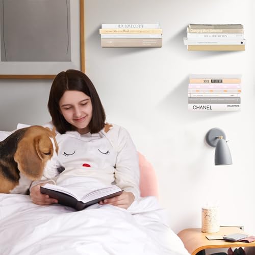 Invisible Floating Bookshelf Modern White Wall Mount Metal Shelves 4PCS
