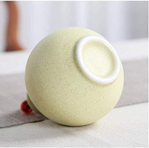 SCOOVY Classic Decorative Urn for Human Ashes