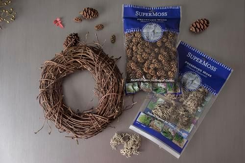 SuperMoss Natural Grapevine Wreath - 12 Inch Rustic Door Decor
