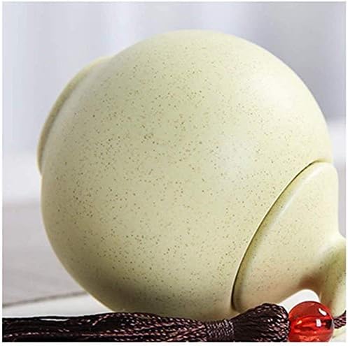 SCOOVY Classic Decorative Urn for Human Ashes