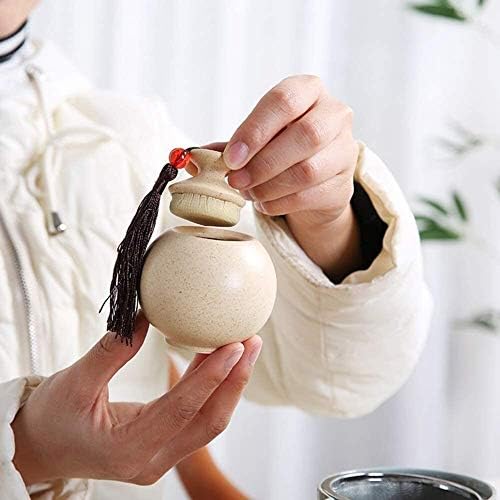 SCOOVY Classic Decorative Urn for Human Ashes