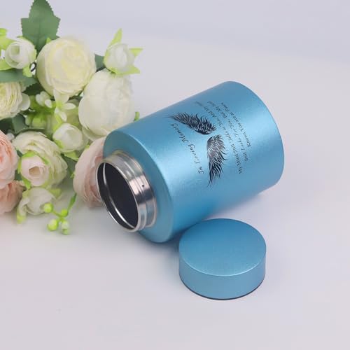 6 Inches Small Urn for Human Ashes Keepsake Box with Angel Wing