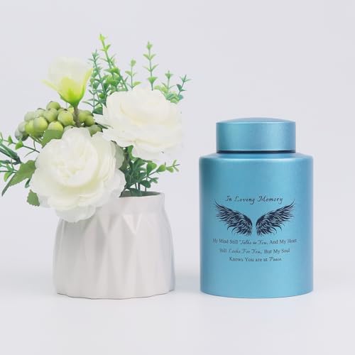 6 Inches Small Urn for Human Ashes Keepsake Box with Angel Wing