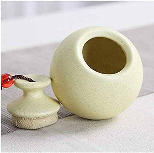 SCOOVY Classic Decorative Urn for Human Ashes