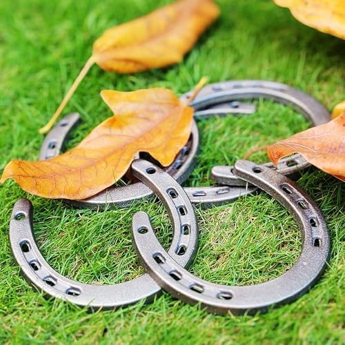 Desyeryamimi 12 Piece Cast Iron Horse Shoes Wall Decor