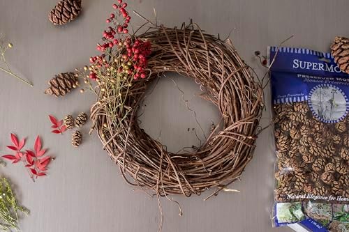 SuperMoss Natural Grapevine Wreath - 12 Inch Rustic Door Decor