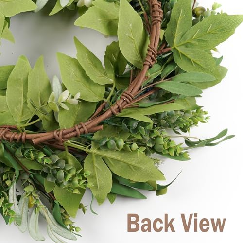 22 Inch Door Wreath with Eucalyptus Olive Leaves