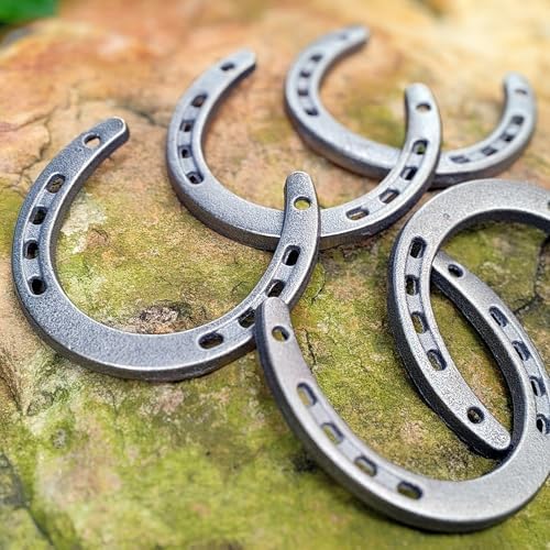Desyeryamimi 12 Piece Cast Iron Horse Shoes Wall Decor
