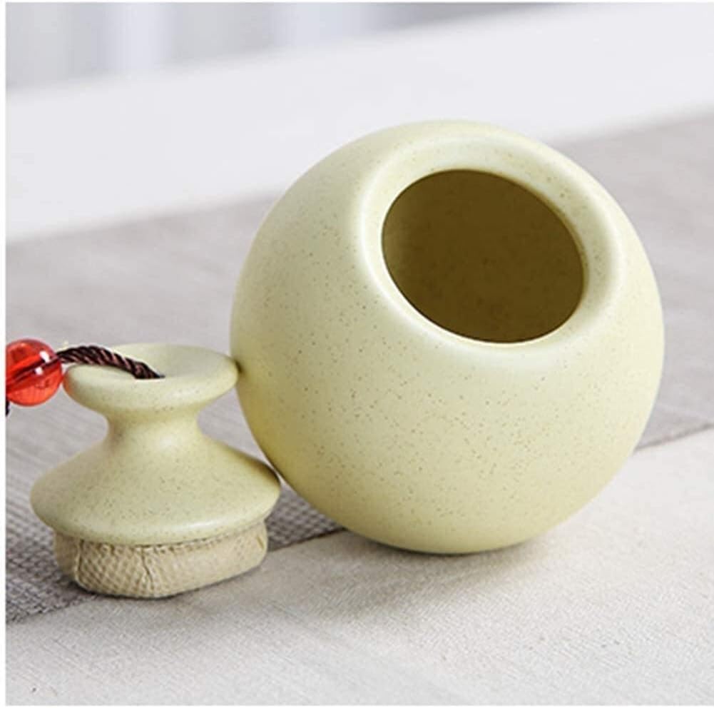 SCOOVY Classic Decorative Urn for Human Ashes