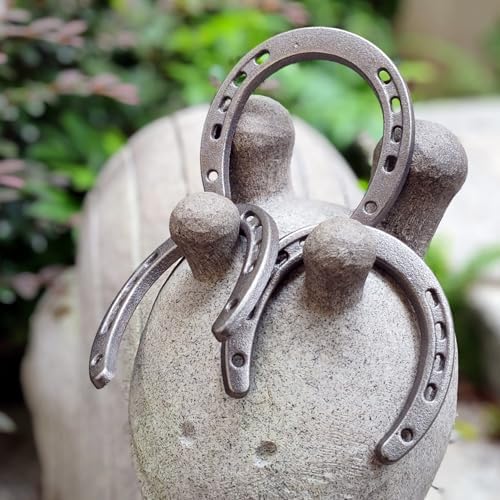 Desyeryamimi 12 Piece Cast Iron Horse Shoes Wall Decor