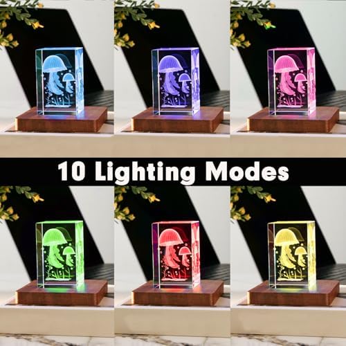 IFOLAINA LED Wood Base for Crystal Display