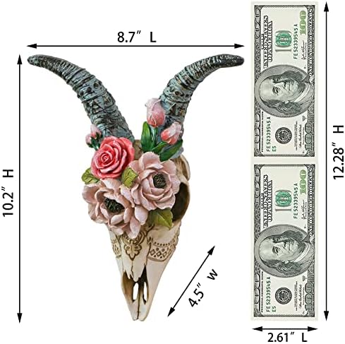 Alikiki Animal Ram Skull Wall Decor