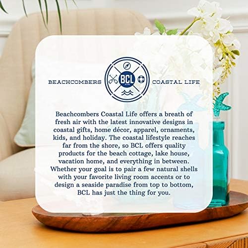 Beachcombers Flying Seagull Drop White Decor Sign