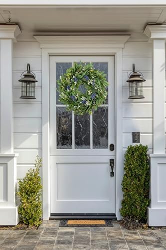 22 Inch Door Wreath with Eucalyptus Olive Leaves