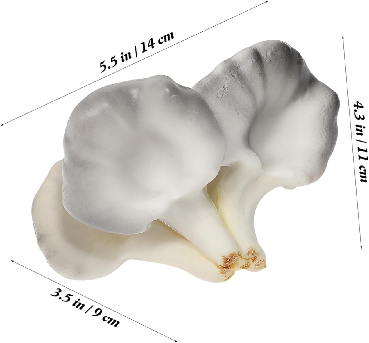 PRETYZOOM Realistic Oyster Mushroom Decor Model