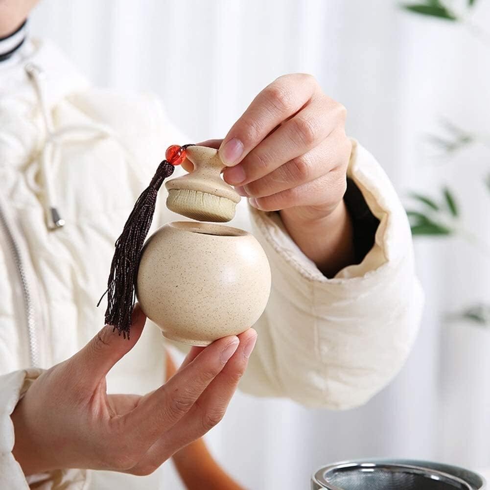 SCOOVY Classic Decorative Urn for Human Ashes