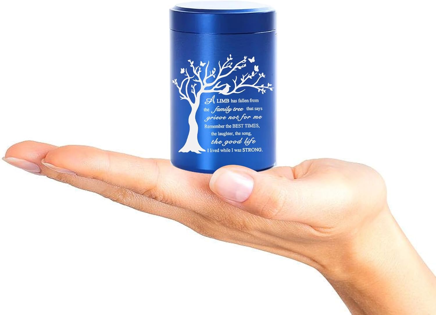 RIPFEVURN Mini Cremation Urn 275 Inch Blue Butterfly Design