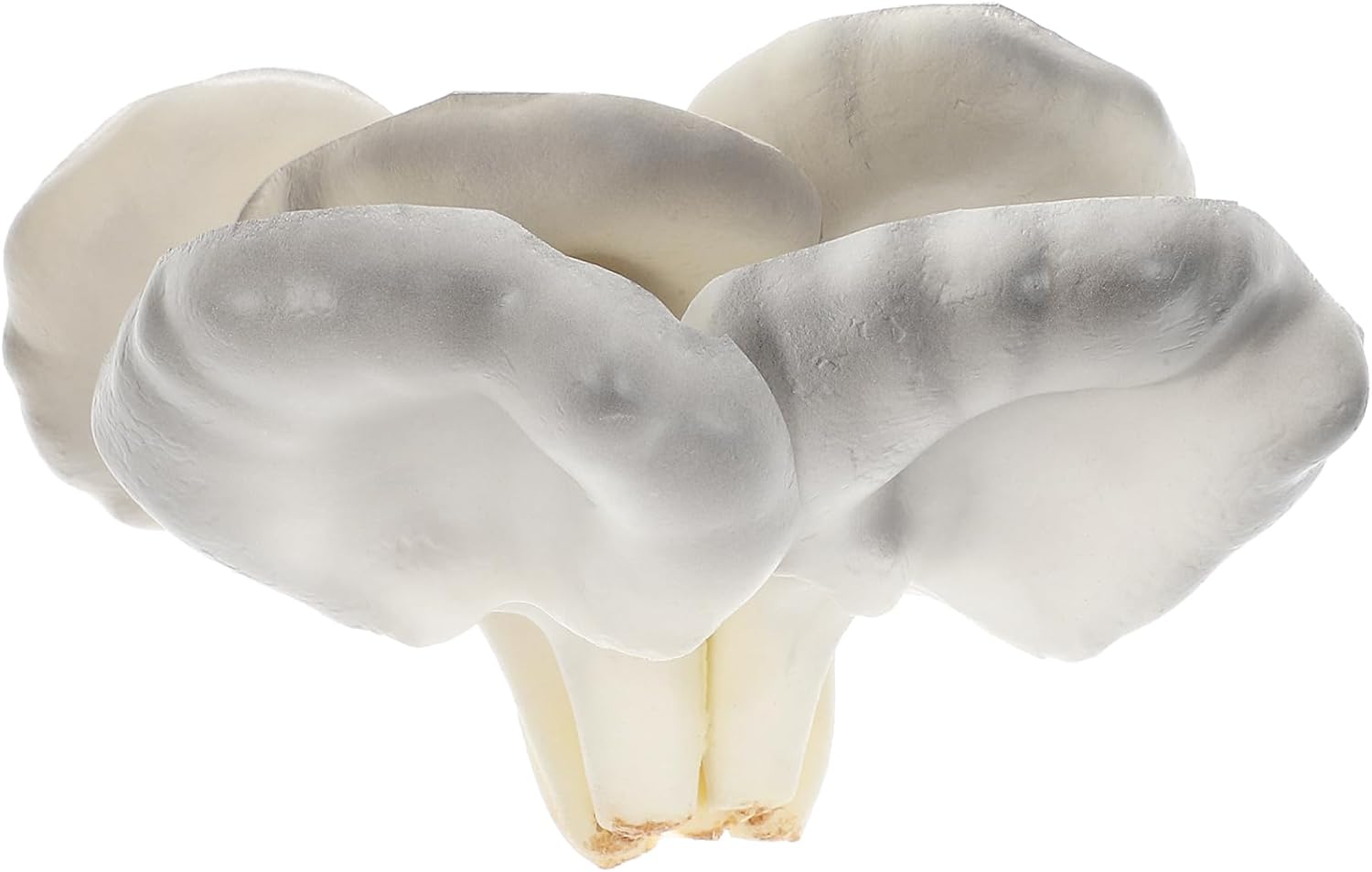 PRETYZOOM Realistic Oyster Mushroom Decor Model