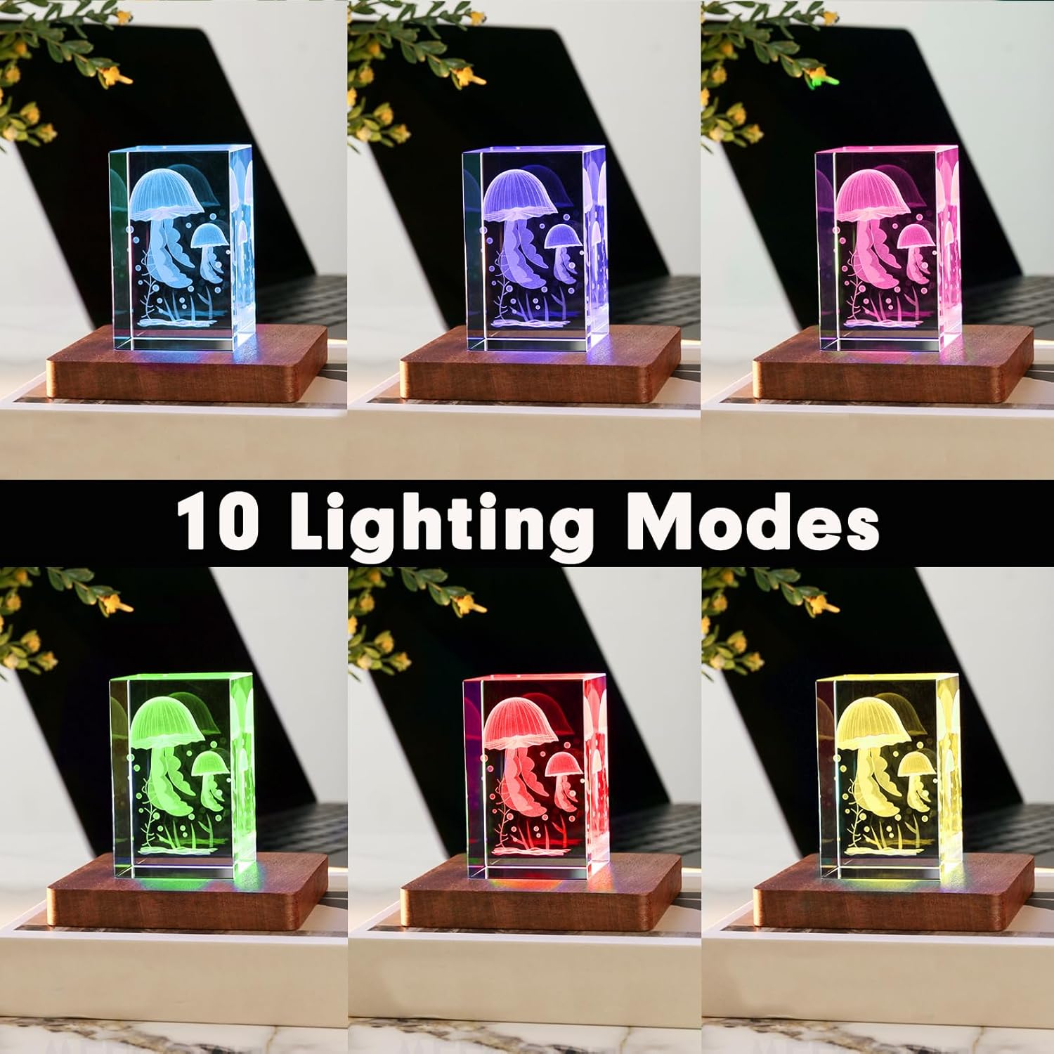 IFOLAINA LED Wood Base for Crystal Display