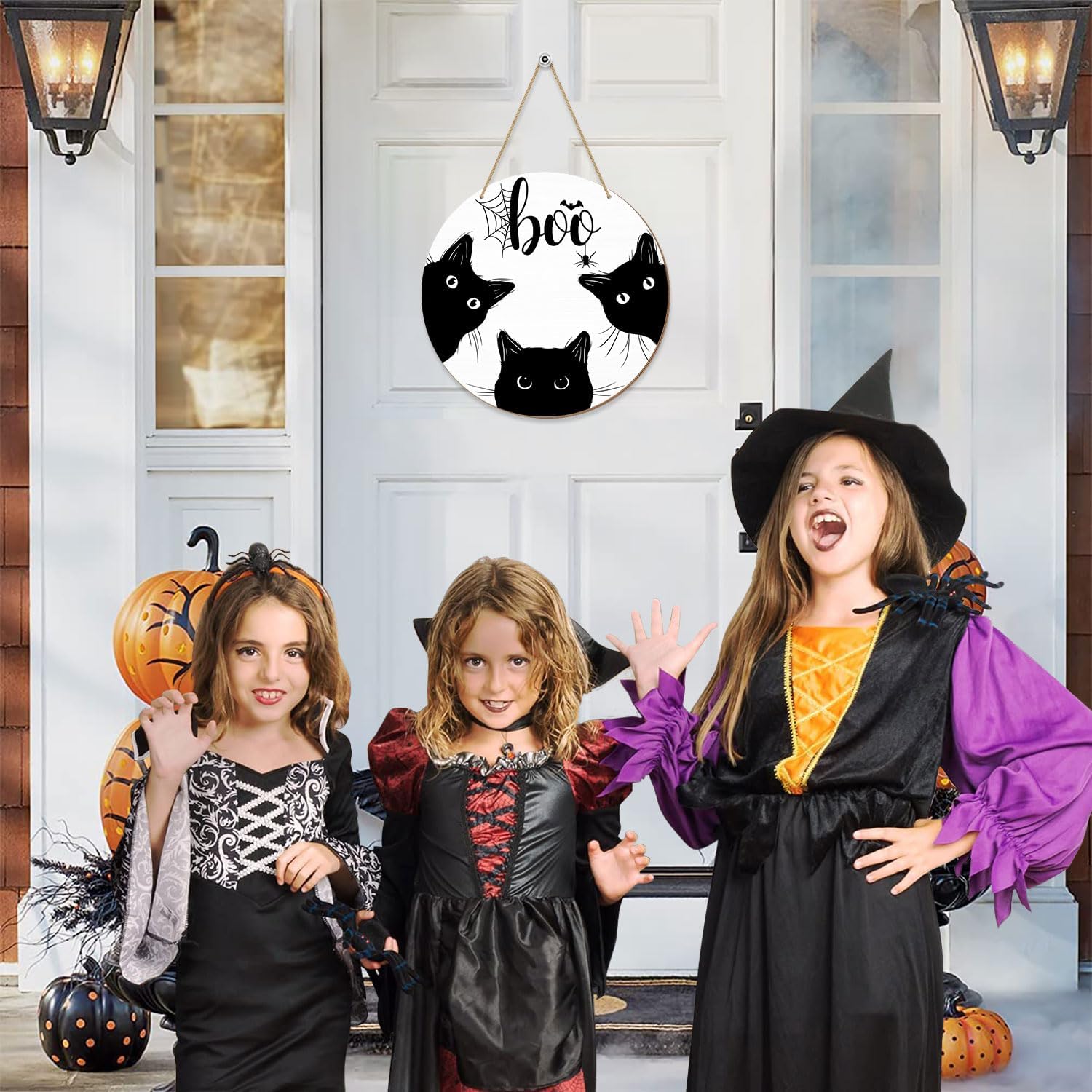 Halloween Black Cat Door Sign with BOO Text