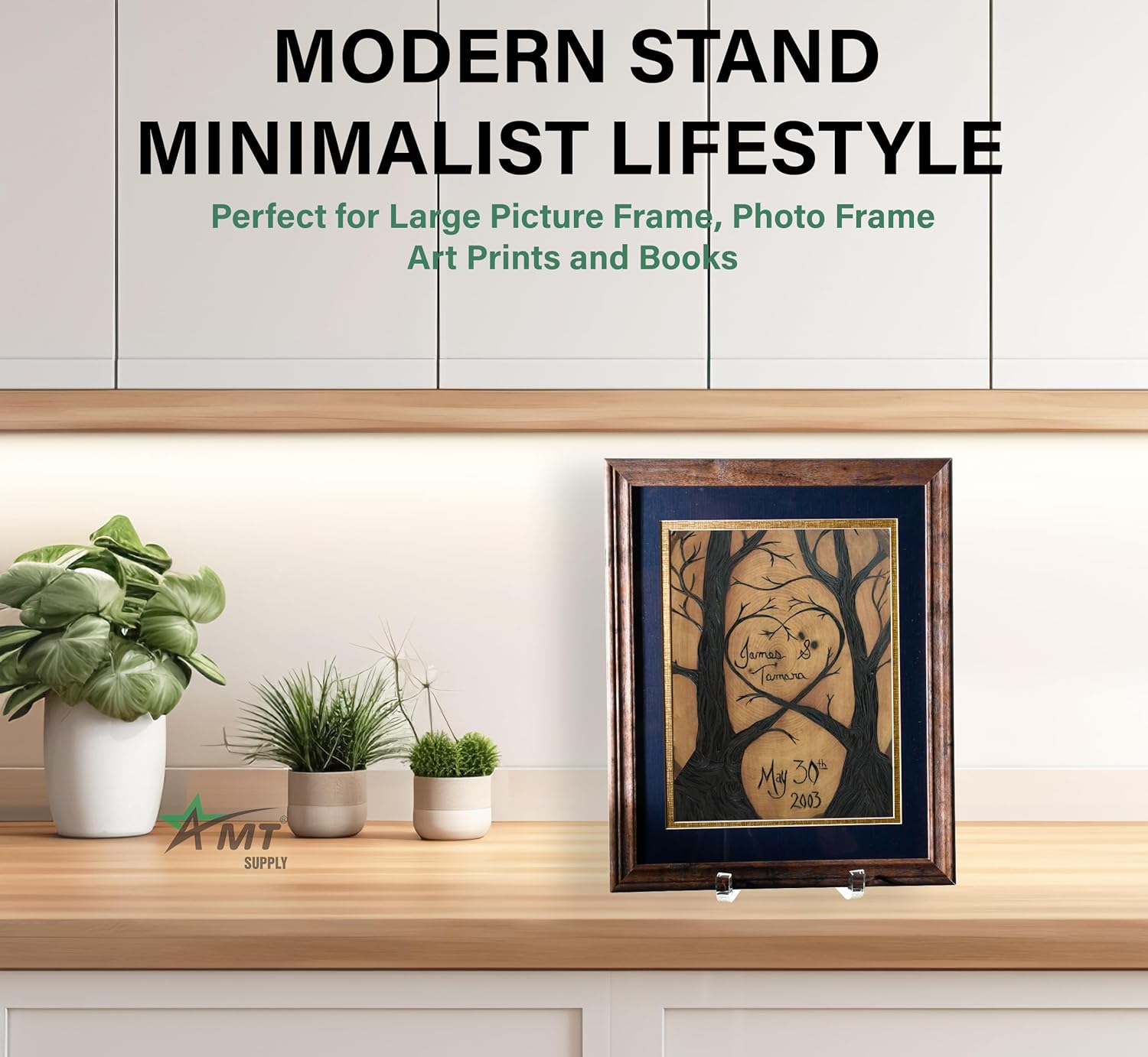 AMT 12 Inch Acrylic Plate Holder Display Stand