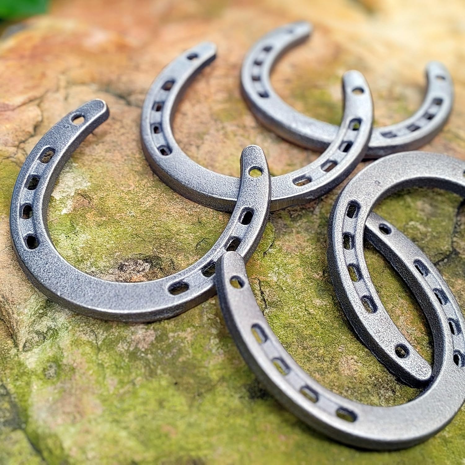 Desyeryamimi 12 Piece Cast Iron Horse Shoes Wall Decor